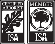 ISA Member and Certified Arborist